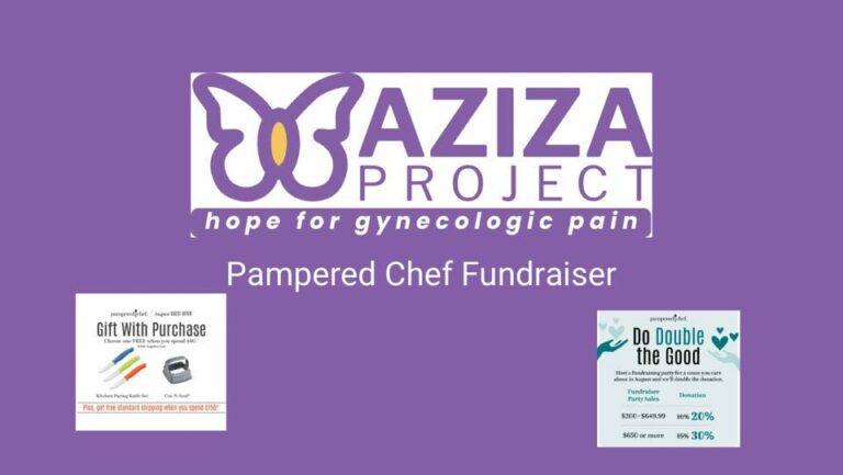 AZIZA Project Pampered Chef Results